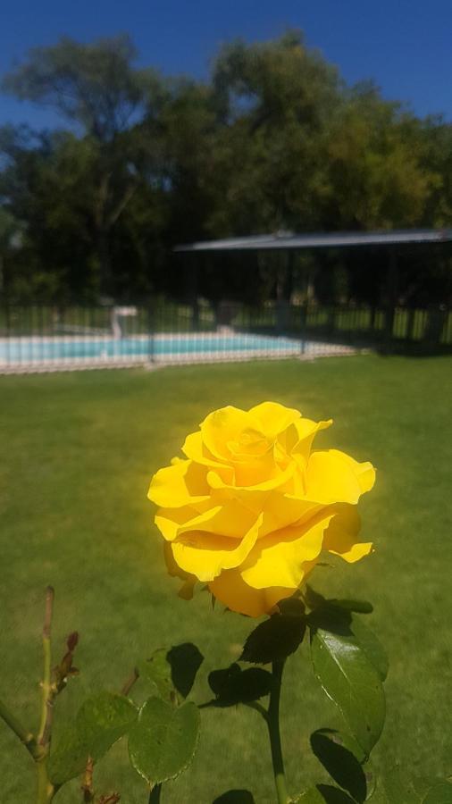 Don Mateo - Casa De Campo Otel Salta Dış mekan fotoğraf